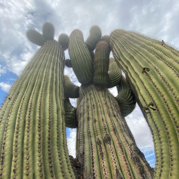 🌼Welcome to Velvet Yucca Vintage🌼 - Picture 2 of 9